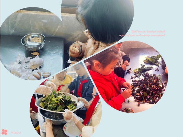 四川省民生研究会新媒体中心-官网