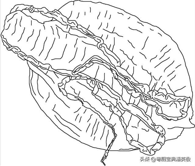 阿胶与花胶有什么区别 2026年阿胶与花胶有什么区别图片