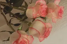 男女知己，总聊“这些话”，彼此会爱上对方，是早晚的事图片