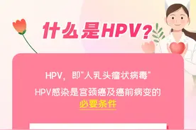 关于HPV，这些一定要知道图片