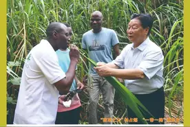 城乡融合怎么融？图片