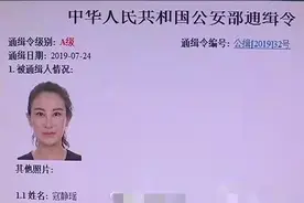 千万儿媳寇静瑶：从乖乖女到A级通缉犯，煤老板公公逼她做了什么图片