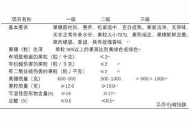 葡萄采收后销售是目的，采收的阳光玫瑰葡萄果实要达到成熟标准图片