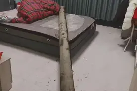 喝醉酒的迷惑行为大赏图片