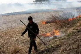 冬季焚烧杂草秸杆灭草害的十大益处图片