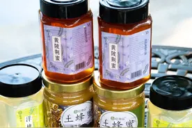 黄陂蜂蜜 ，人类的“蜜蜜”武器！图片