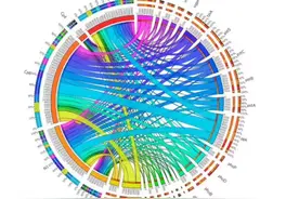 白蚁丘土壤中微生物多功能性研究：促进农业可持续发展的关键路径图片