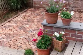 趁放假改造老家院子，水泥都不用材料倍省，3天铺出气派休闲空间图片