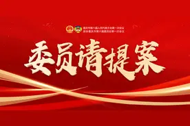 委员请提案 | 黄伟：加快推进重庆新机场及临空经济区规划建设图片