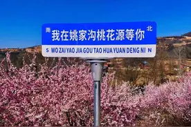 姚家沟赏桃花图片