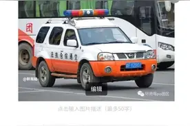 途达当时没叫帕拉丁，车迷表示不能理解，如今途达复名帕拉丁了？图片