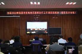 德保县在自治区2022年第四季度粤桂协作工作调度视频会上作交流发言图片
