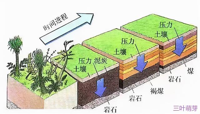 分不清有机无机？想找个矿物咋这么难
