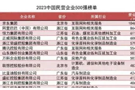 营收超比亚迪，今又布局造车，这家山东企业才是低调大佬？图片
