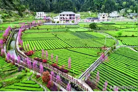 农村到底苦不苦？作者以自己农村生活的真情体验，与你实话实说图片