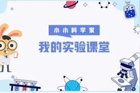 【白塔·实践课程】卯兔迎春 点亮多彩假期——科学实验“探究兔”图片
