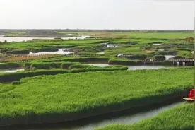 微游河北 · 乐享身边的美｜沧州：千年杂技梦 百里运河图图片