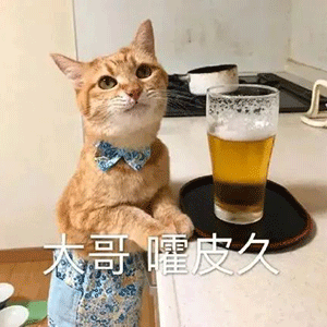 可爱搞笑的表情包:天上什么时候掉馅饼啊(微信发哪些话会掉表情包)
