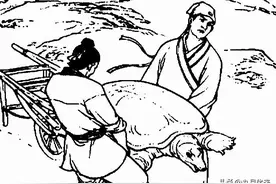 民间故事：千年老龟渡劫，男子舍身相助，老龟：月圆之夜给我留门图片