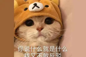 上热搜！睡觉时总是出现这个姿势？当心是身体出了问题……图片