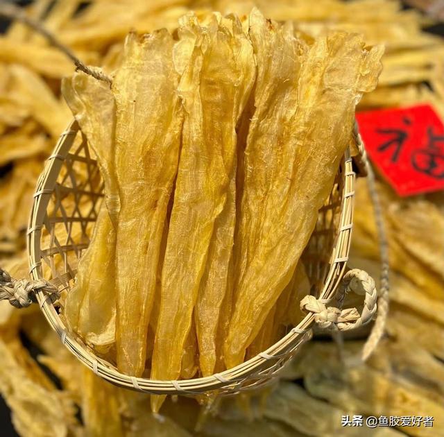 阴阳胶是什么鱼胶 2026年阴阳胶是什么鱼胶制成的