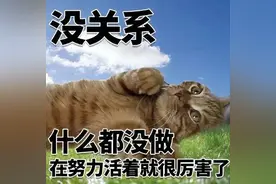 没关系表情包图片