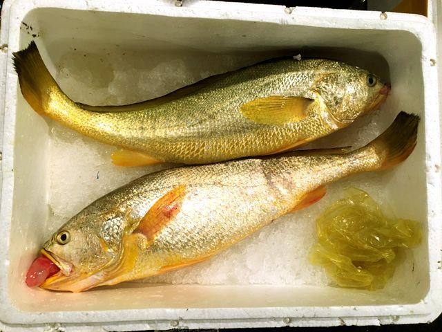 什么海鲜胶原蛋白最多 2025年海鲜含有胶原蛋白吗