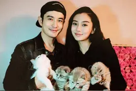 曝黄晓明欲出4亿买断儿子抚养权，叶柯抢着给他生，ab态度引热议图片