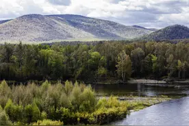 极度恐慌：人熊大战（上）图片
