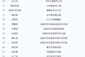 位置公布！郑州新增32个违停严管路段、53套抓拍系统图片