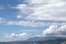 送给保险小白的一份保险说明书图片