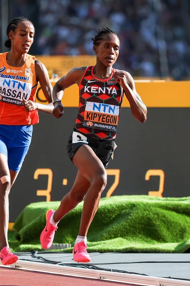 2021东京奥运会奖牌榜(男子跳高坦贝里2米36夺冠 美国6金领跑中国队