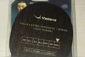 业余哪些乒乓底板值得一烧 之二图片