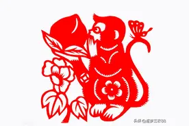 灭鼠一绝——水泥粉掺料图片