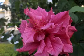 我在住院，老公却忙着给大姑姐的小店干活，婚姻就这样散了图片
