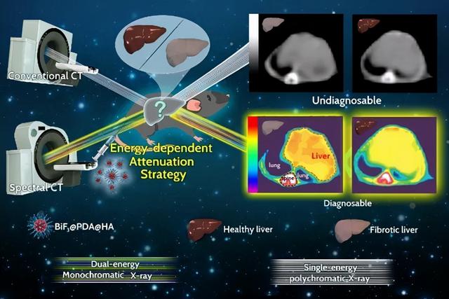 复旦上医11月科研成果一览
