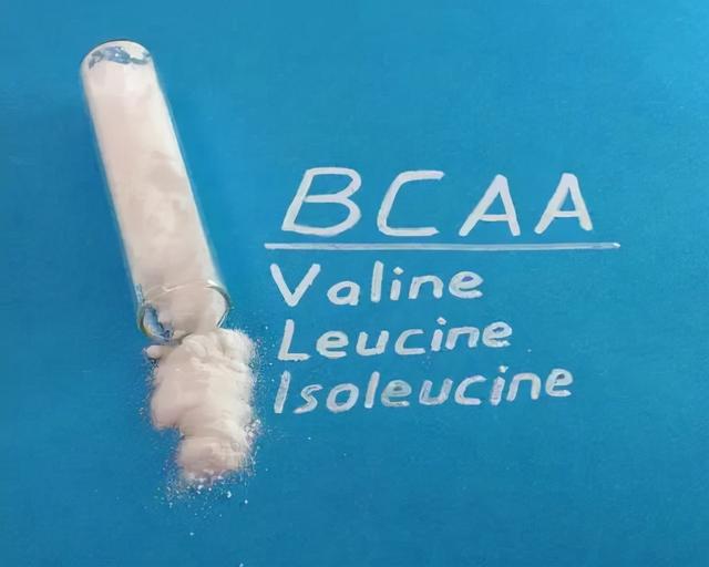 啥是支链氨基酸 对骑行有好处吗