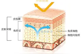 为什么肌肤更新周期是28天，有什么护肤启示？图片