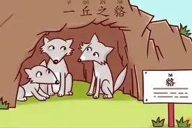 学成语|一丘之貉图片