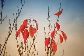 不经常换微信头像的女人，往往是这四种性格，很厉害图片