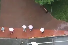 哗啦啦，龙泉驿、新都下雨了图片
