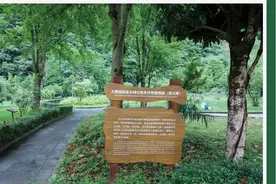 植物文化视野中的学校文化育人研究图片