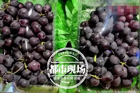 惊险！9岁孩子吃了半串葡萄，差点丢命！医生紧急提醒图片