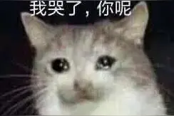 表情包：你怎么回事小老弟图片