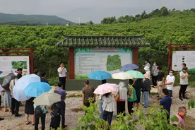 2022年全区乡村振兴中药材标准化种植技术培训班在南宁举办图片