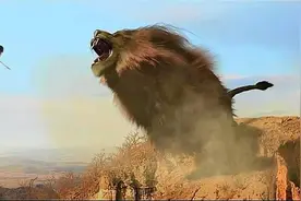 《西游妖物志》：狮子大集合图片