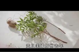 奥密克戎杀到了2022，世界该何去何从？两位预言大师精准解读图片