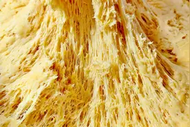 冬天发面蒸馒头，别只会放酵母，多加“2白”，30分钟快速发满盆图片