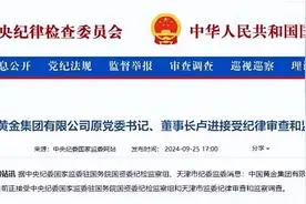 辞职刚一月，中国黄金原董事长卢进落马，在公司大搞一言堂图片