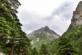 永远不要穿别人的这3种旧衣服，对你和家人没好处图片